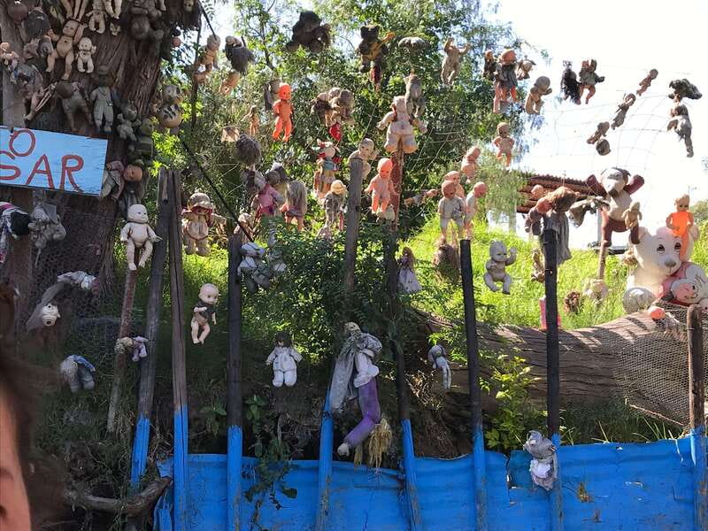 "Floating Party in Xochimilco: Canals, Tequila, and Tradition" - Drinks that stay simple: beer, tequila, mezcal, and mixers
