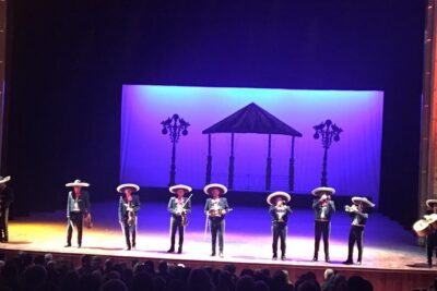 Folkloric Ballet in Mexico City - Getting there smoothly: hotel pickup, driver waits, and private transfer
