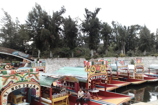 Frida Kahlo and Floating Gardens Tour with Transportation - UNAM Biblioteca Central: Diego Rivera’s public-art moment