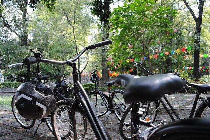 Frida Kahlo VIP - Bike & Churros [Museum Tickets Included] - Timing and logistics: a short day with clear flow