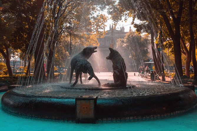 From cdmx: Tour in Coyoacan and Xochimilco all inclusive - Coyoacán + Xochimilco: what this day is really like