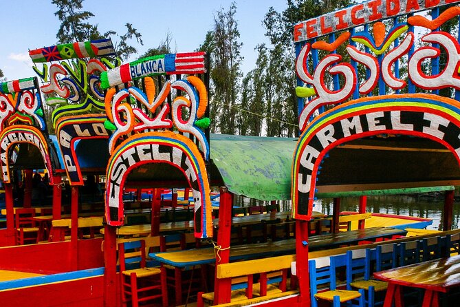 From cdmx: Tour in Coyoacan and Xochimilco all inclusive - Ciudad Universitaria panoramas: murals without a long detour