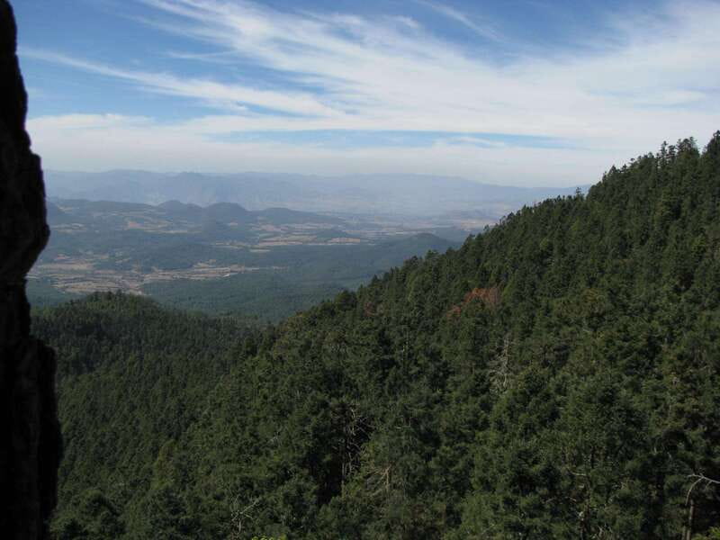 From Mexico City: 7-Day Monarch Butterfly Tour - Heading back to Mexico City: a slower Day 6 and easy Day 7