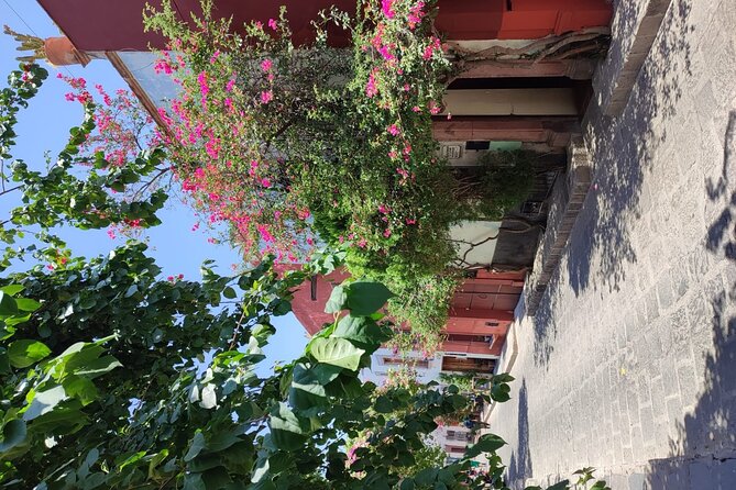 Full Day: San Miguel de Allende - Comfort, rules, and small gotchas for this private day trip