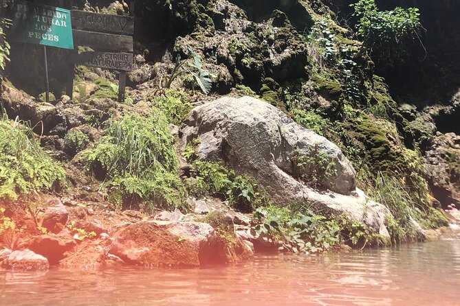 Full-Day Tour to Tolantongo Hot Springs from Ciudad de Mexico - The drive experience: scenic, but not short, so plan your mindset
