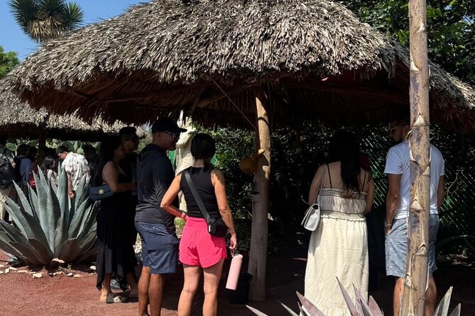 Guided tour EN Teotihuacan - Breakfast EN cave-round transport - Stop 4: final cacao workshop break, bathroom warning, then back to Mexico City