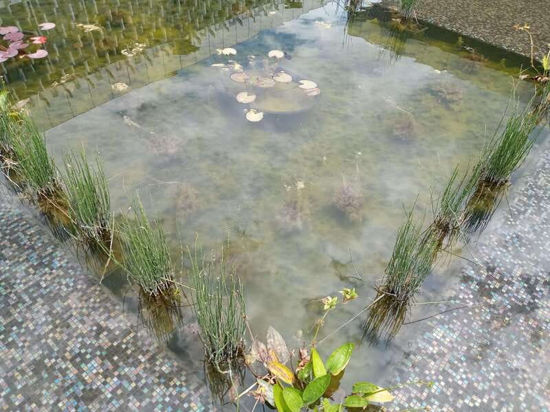 Guided Tour of the Museum of Anthropology - Gardens Around the Museum: The Unplanned Mental Reset