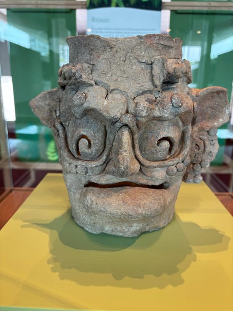 Guided Tour of the Museum of Anthropology - Olmec Heads and Toltec Connections: Tracing Influence Over Time
