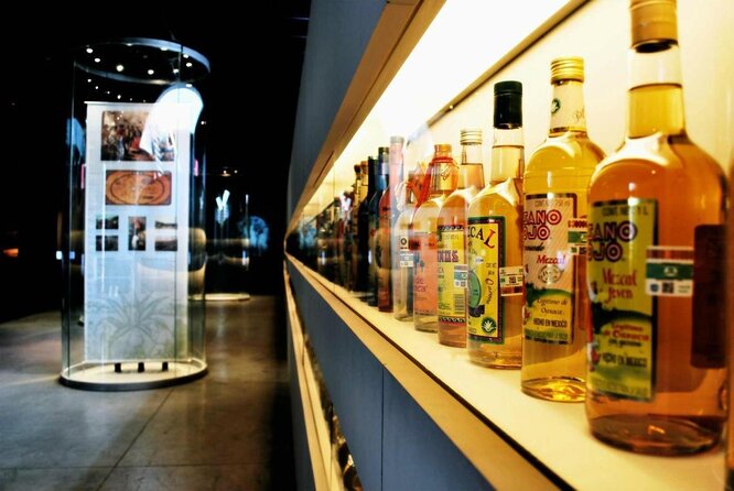 Guided Tour to the Tequila and Mezcal Museum - Key highlights you’ll feel right away