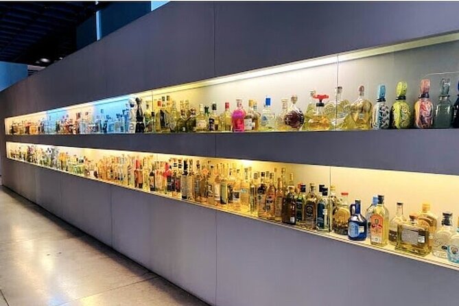 Guided Tour to the Tequila and Mezcal Museum - The museum stop: admission plus a guide-led walkthrough