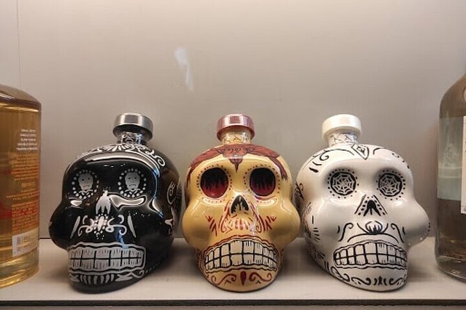 Guided Tour to the Tequila and Mezcal Museum - Practical tips to make it smoother
