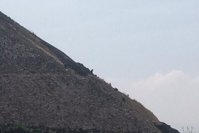 Guided Walking Tour to the Archaeological Zone of Teotihuacán - Door 1 to Gate 3: Meeting Points and the Site Entry Flow
