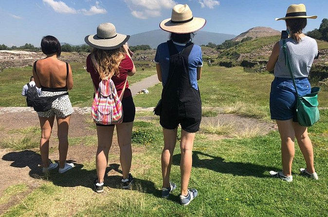 Half Day Tour of Teotihuacan - Condesa, Roma, Polanco Pickup: How Smooth This Usually Feels