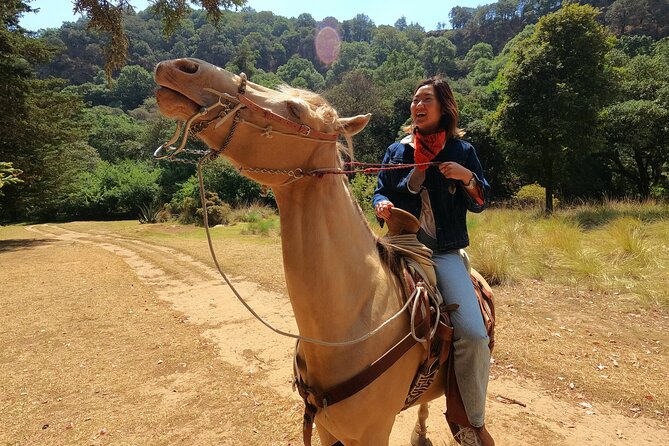 Horseback Riding in the Forest and Breakfast in Cabin - Key highlights to know before you go