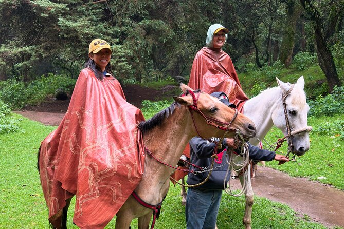 Horseback Riding in the Forest and Breakfast in Cabin - From Fuente de Cibeles to the quiet forest in about an hour