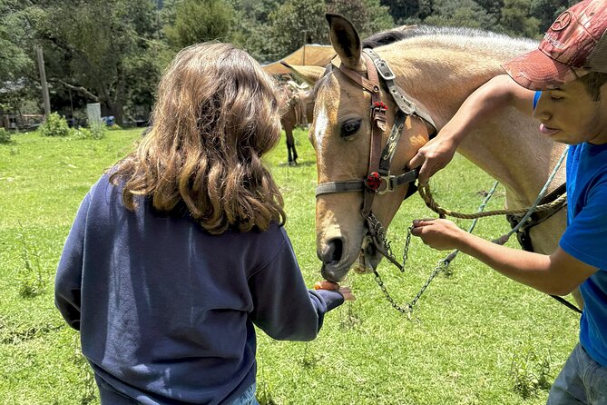 Horseback Riding in the Forest and Breakfast in Cabin - Guide Omar and Tomas: why the local team improves the day