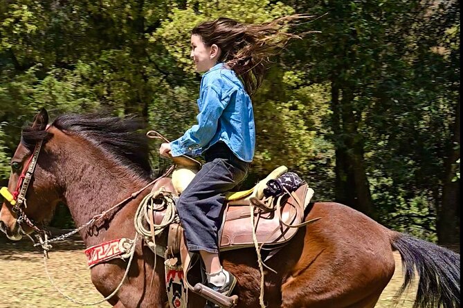 Horseback Riding in the Forest and Breakfast in Cabin - Price and value: what you’re paying for beyond the horse