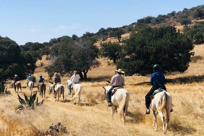 Horseback Riding through Mexican Haciendas - Key Things I’d Bet You’ll Care About