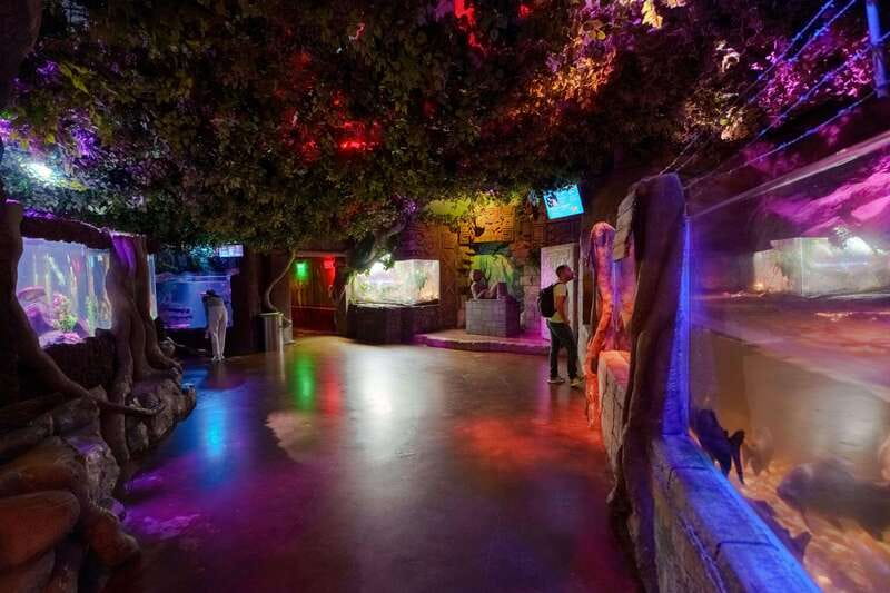 Inbursa Aquarium Entry Ticket with VR Option - Getting In Fast at Acuario Inbursa’s Priority Entrance