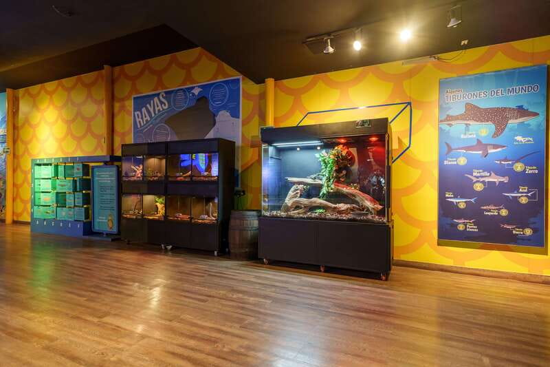 Inbursa Aquarium Entry Ticket with VR Option - Touring the Sea and Ocean Habitats at Your Own Pace