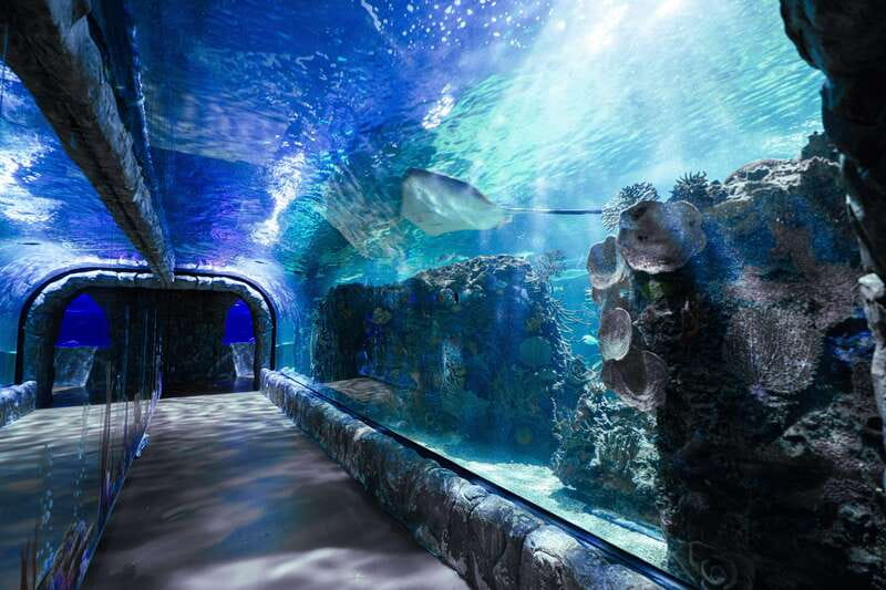 Inbursa Aquarium Entry Ticket with VR Option - Temporary Exhibitions: Bonus Variety Included