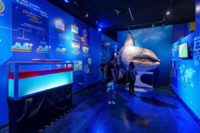 Inbursa Aquarium Entry Ticket with VR Option - The Interactive Aquarium: Where Learning Feels Like Play