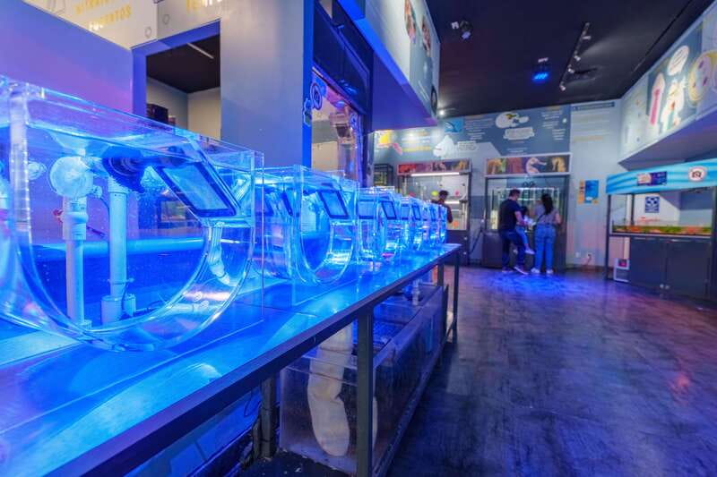 Inbursa Aquarium Entry Ticket with VR Option - Price and Value: What You’re Really Paying For