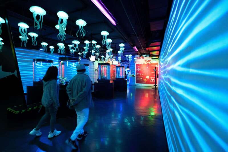 Inbursa Aquarium Entry Ticket with VR Option - Who This Experience Fits Best in Mexico City