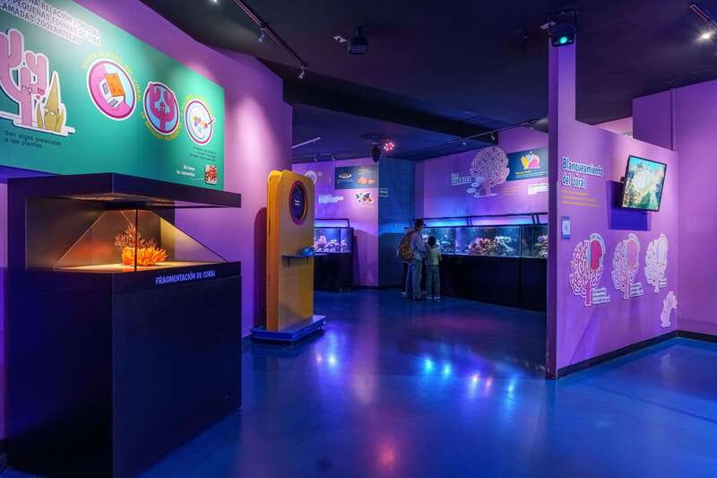 Inbursa Aquarium Entry Ticket with VR Option - Should You Book the Inbursa Aquarium Ticket With VR Option?