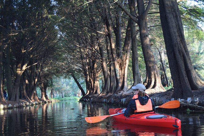 Kayak at sunrise in Xochimilco: agroecological experience - Where the Tour Starts: Pier Fernando Celada and Setting Up Right