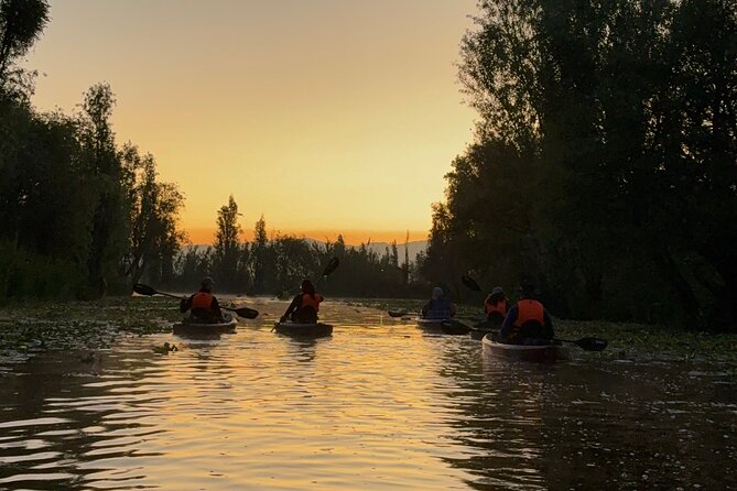 Kayak at sunrise in Xochimilco: agroecological experience - Axolotls and Wildlife: The Moment You’ll Remember