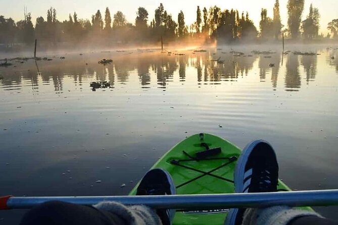 Kayak at sunrise in Xochimilco: agroecological experience - Food Moment: When the Chinampa Story Gets Tangible
