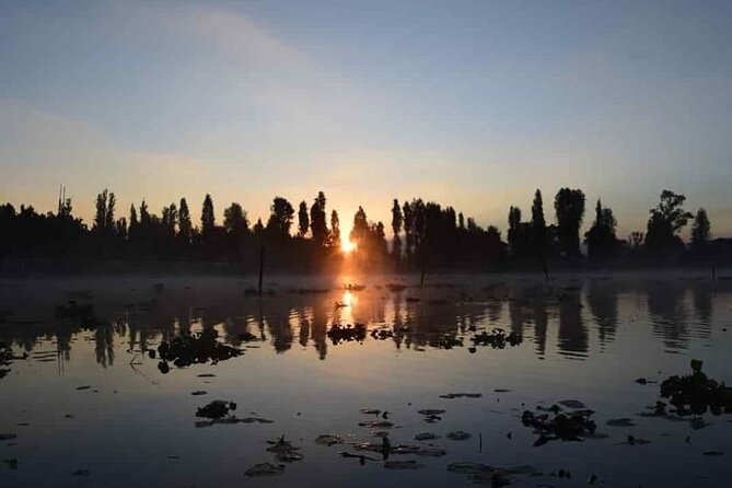 Kayak at sunrise in Xochimilco: agroecological experience - Stop 1: Trajineras Xochimilco and the Working Chinampa System