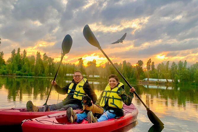Kayak tour in Xochimilco - Key Highlights You’ll Actually Care About