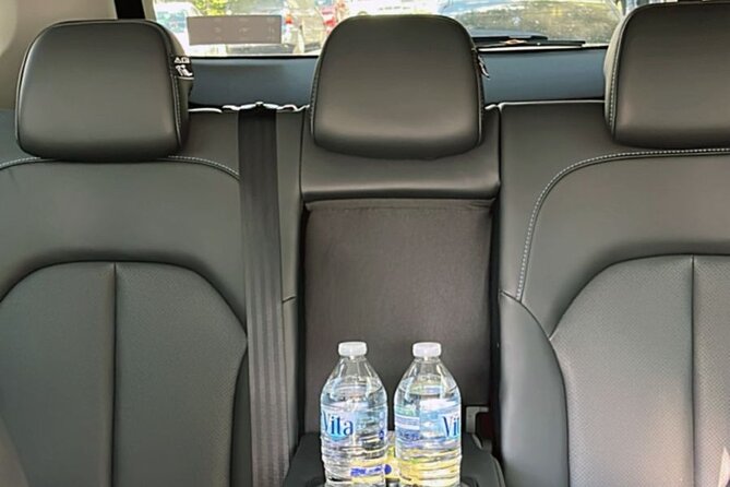 Luxury Private Transportation Service in Mexico City - Butler Meet-and-Greet at Juarez Intl: Fast, Personal, Low-Stress