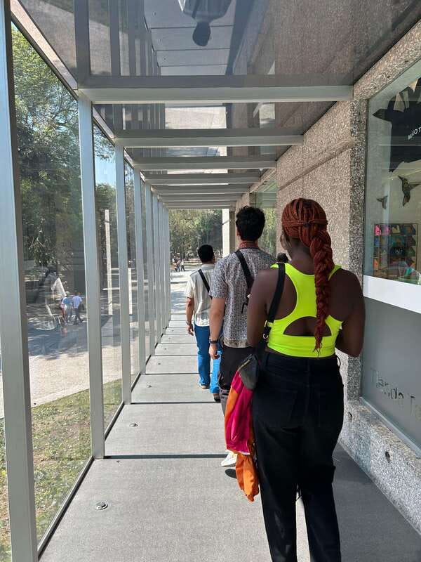 Mexico City: 1960s &1970s Mexican Architecture Walking Tour - Hotel Camino Real finale: Olympic VIPs to modern art in a gallery-like setting
