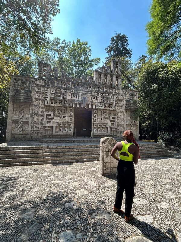 Mexico City: 1960s &1970s Mexican Architecture Walking Tour - Pace, comfort, and what to bring (without overplanning)