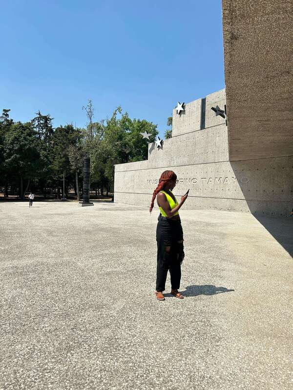 Mexico City: 1960s &1970s Mexican Architecture Walking Tour - Price and value: does $192 make sense for you?