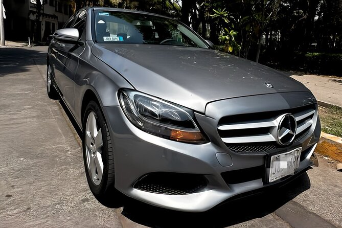Mexico City Airport Private Pick Up Service - Landing in Mexico City International Airport: meet, greet, luggage, go