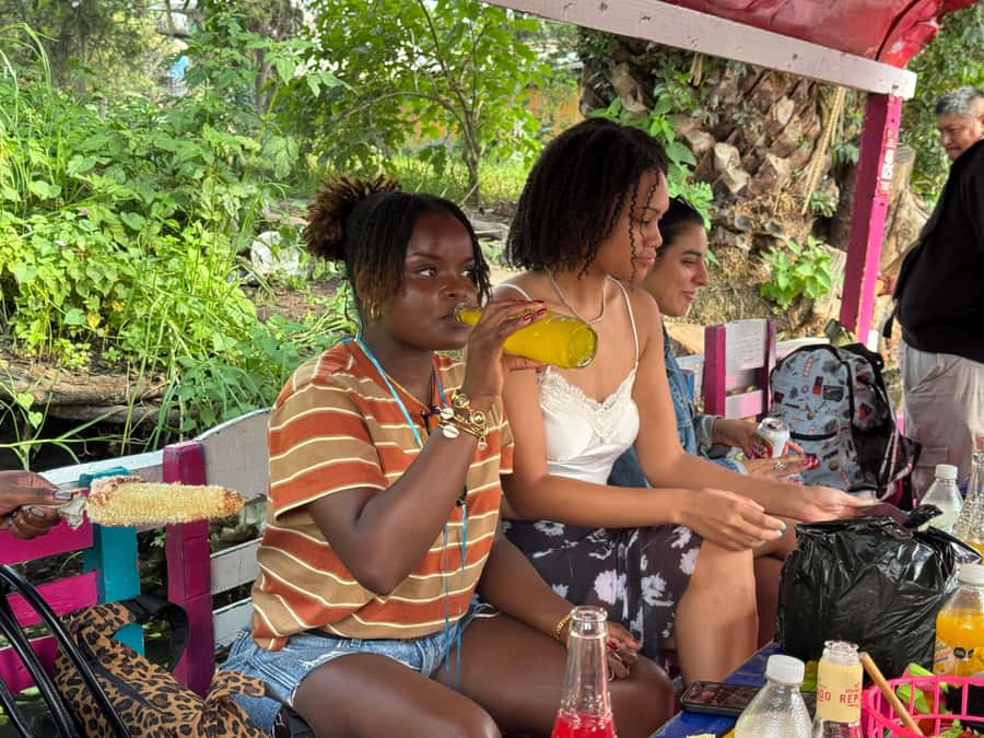 Mexico City: All-Inclusive College Student-Guided Boat Tour - Tacos, pulque, and the meaning behind the flavors