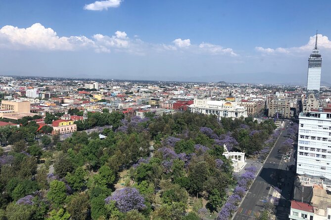 Mexico City Center Private Walking Tour - Stop 4: Palacio de Bellas Artes for emblematic Mexico City form