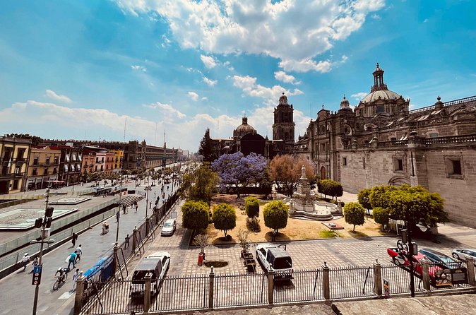Mexico City Center Private Walking Tour - What the $139 price makes practical for your day