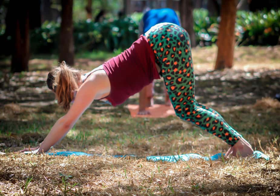 Mexico City: Chapultepec Park Yoga Class with Sound Bath - The 1.5-hour yoga: paced for beginners, tuned to your body