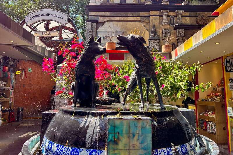 Mexico City: Coyoacan, Xochimilco & UNAM Full-Day Tour - Price and value: what you’re actually paying for at $59