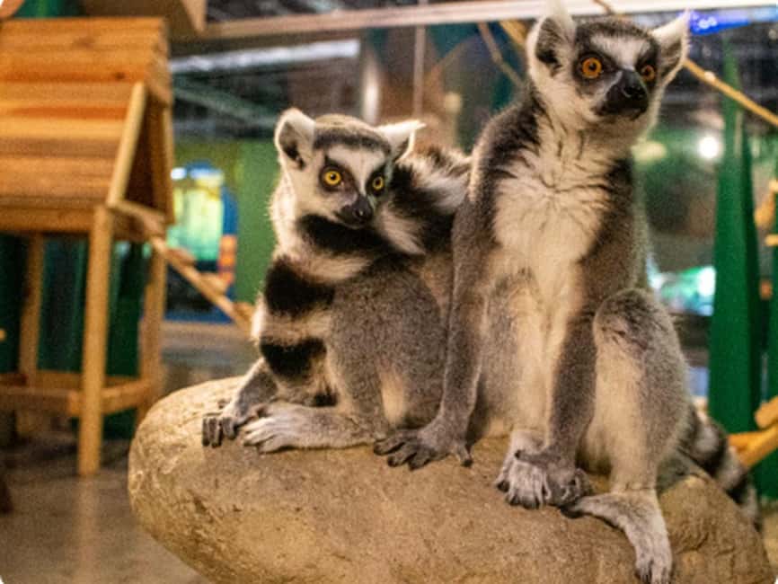 Mexico City: Entry Ticket to Acuario Michin - Indigenous-Inspired Conservation: Why This Aquarium Feels Different