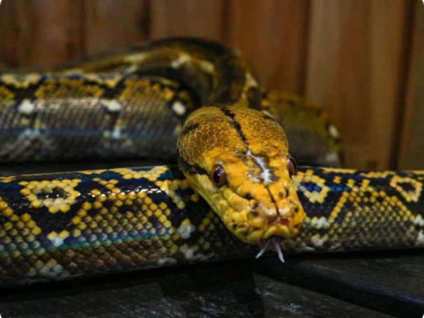 Mexico City: Entry Ticket to Acuario Michin - Who Should Book This Aquarium Entry Ticket