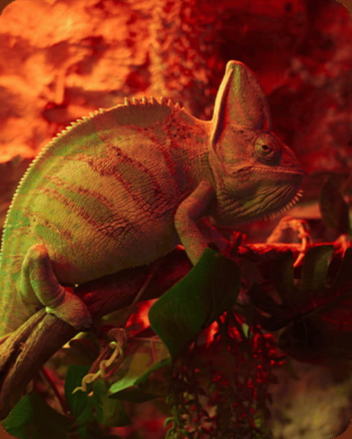 Mexico City: Fast Pass Ticket to Acuarium Inbursa - Acuario Inbursa Fast Pass: What You’re Paying For in Real Life