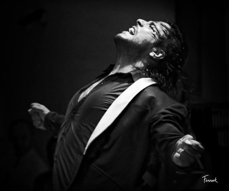Mexico City: Flamenco Tablao Live Show & dinner - Timing: How to Avoid Missing Part of the Show