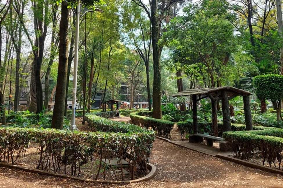Mexico City: Guided Bike Tour of Culture and Local Taste - Chapultepec Park: Calm Green Space With Monuments and Stories
