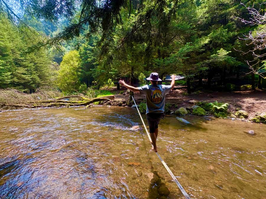 Mexico City: Guided Hike in the Dinamos Forest - Following the last living river: CDMX water history made human